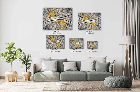 Aspens in Snow بواسطة طائرة بدون طيار - طباعة/قماش/أكريليك/معدن in Kuwait