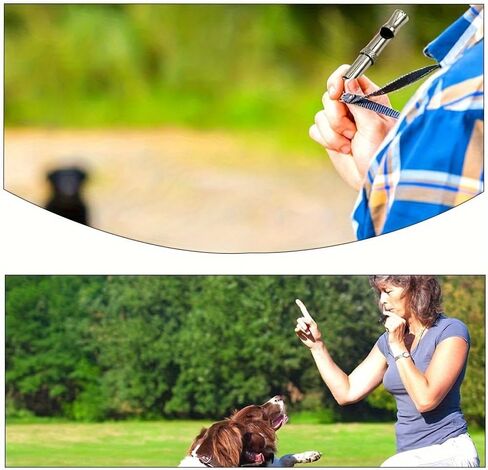 2 Pack Aluminum Dog Training Whistle, Adjustable Pitch Ultrasonic Whistle for Dog Obedience & Recall Training, Professional Dog Training Tool for Pet Owners & Trainers in Saudi Arabia