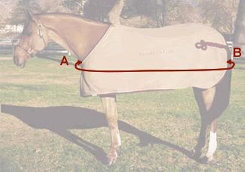 Horse Fly Sheet - Summer Spring UV Protection Mesh Bug Mosquito Fly Sheet for Horses (Sand, 81") in Kuwait