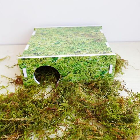 Corn Snake Hides, Enclosure Accessories for Reptile Snake, Terrarium Habitat Shelter Decor in Kuwait