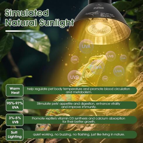 Reptile Heat Lamp Reptile Light Fixture 2Inch Shallow Dome with Dimmer and Cycle Timer, Max 100W, 2 Pack Heat Lamps UVB Bulb UVA Basking Light for Bearded Dragon Turtle Chicken Lizard Snake Gecko Tank in Saudi Arabia