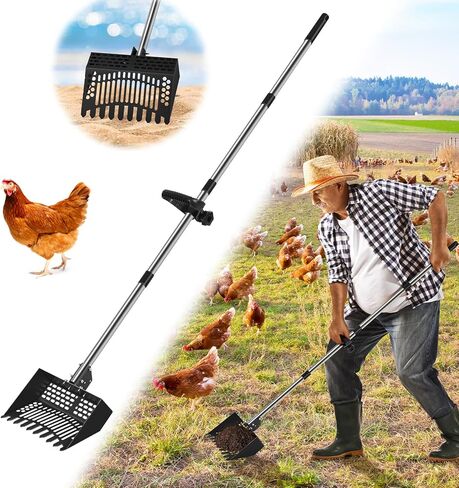 Chicken Poop Scooper & Rake, 2-in- Metal Litter Scoop Sand Sifting Shovel with 28" to 55" Adjustable Stainless Steel Handle for Chicken Coop Accessories/Supplies, Farm, Sheep Pen, Cat Litter, Black in Saudi Arabia