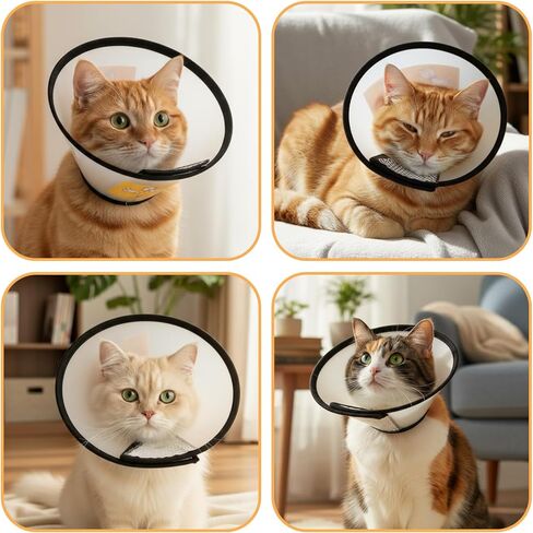2 Pack Cat Cones to Stop Licking Transparent Plastic, Cat E Collar Pet Cone for After Surgery Comfortable Waterproof Adjustable Recovery Cone to Stop Licking and Scratch for Cats and Small Dogs in Kuwait
