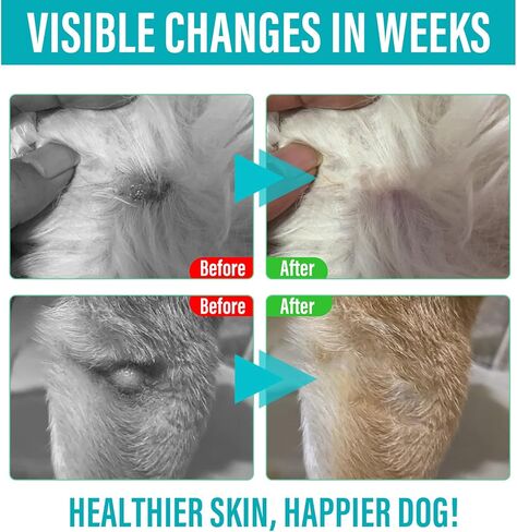 Lipoma Treatment for Dogs Cats - Lipoma Treatment Targets Guard for Dogs Lumps and Bumps, Castor Oil with Reishi & Turkey Tail Mushrooms to Lipoma Reduction & Boost Immune Health, 60ML in Kuwait