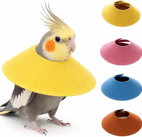 4Pcs Bird Cone Collar, Bird Elizabethan Collar for Wound Biting Prevention & Feather Plucking, Protective Recovery Cone for Cockatiel/Lovebird/Sun Conure/Small Monk Parrots (M) in Kuwait