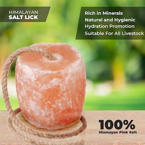 Himalayan Salt Lick for Horses, Livestock– (3-4 lbs) Natural Mineral Salt Block for Goats, Cattle & Deer with Hanging Rope, Weather-Resistant and Great for Dear Hunting (12) in Kuwait