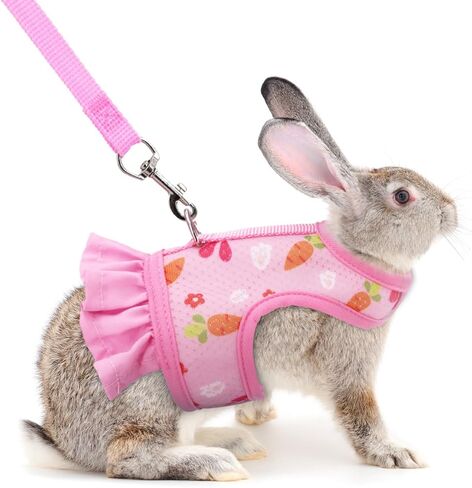 Hotlion Guinea Pig Harness and Leash Set, Soft Breathable Rabbit Harness and Leash Set Cute Mesh Bunny Vest Harness for Rabbit Hamster Clothes Kitten Ferret Puppy Small Pets Walking Gear, Pink L in Saudi Arabia