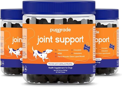 مكمل دعم المفاصل من PupGrade للكلاب - الجلوكوزامين + الكوندرويتين مع MSM وPerna - يدعم صحة الورك والمفاصل الطبيعية من أجل عدم الراحة العرضية، نكهة لحم البقر - 60 مضغ ناعم in Kuwait