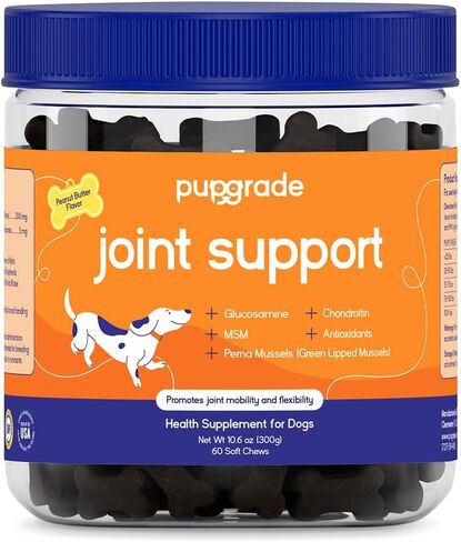 PupGrade Joint Support Supplement for Dogs - Glucosamine + Chondroitin with MSM and Perna - Supports Normal Hip & Joint Health for Occasional Discomfort, Beef Flavor - 60 Soft Chews in Saudi Arabia