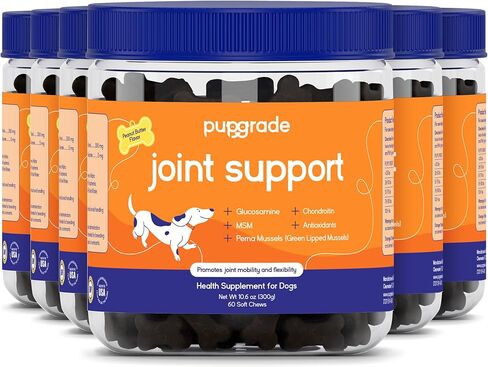 PupGrade Joint Support Supplement for Dogs - Glucosamine + Chondroitin with MSM and Perna - Supports Normal Hip & Joint Health for Occasional Discomfort, Beef Flavor - 60 Soft Chews in Saudi Arabia