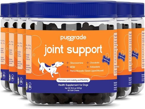 PupGrade Joint Support Supplement for Dogs - Glucosamine + Chondroitin with MSM and Perna - Supports Normal Hip & Joint Health for Occasional Discomfort, Beef Flavor - 60 Soft Chews in Saudi Arabia
