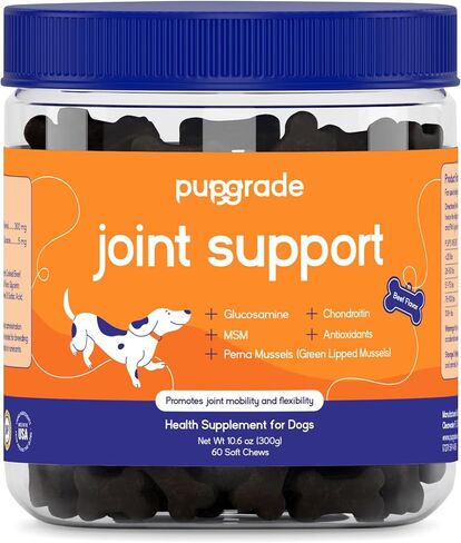 PupGrade Joint Support Supplement for Dogs - Glucosamine + Chondroitin with MSM and Perna - Supports Normal Hip & Joint Health for Occasional Discomfort, Beef Flavor - 60 Soft Chews in Saudi Arabia