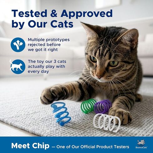 Cat Spring Toys Cats Can't Resist – Family Made in the USA, Set of 4 in Kuwait