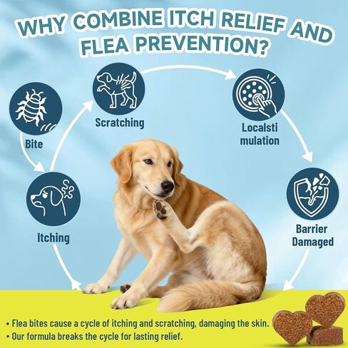 Flea and Tick Prevention for Dogs Itching Skin Relief, 200 Chewable Flea and Tick for Dog with Skin & Coat Support, Itch Relief for Dogs, Oral Supplement for All Breeds & Ages, Chicken Flavor in Kuwait