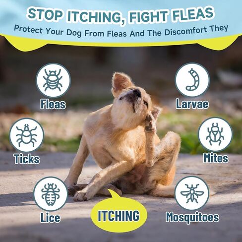 Flea and Tick Prevention for Dogs Itching Skin Relief, 200 Chewable Flea and Tick for Dog with Skin & Coat Support, Itch Relief for Dogs, Oral Supplement for All Breeds & Ages, Chicken Flavor in Kuwait