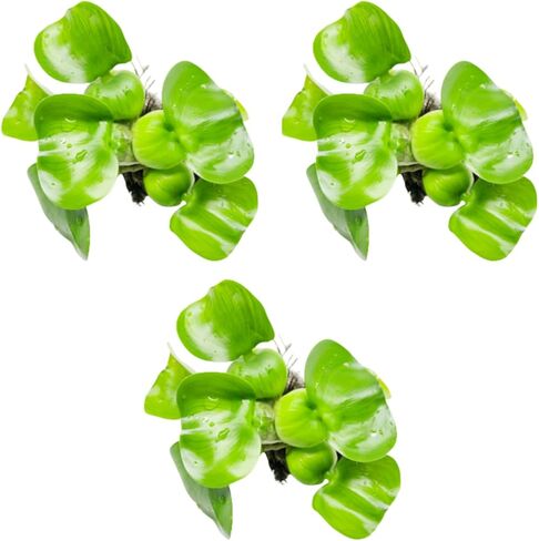 Mainam Water Hyacinth Eichhornia Crassipes الاستوائية المياه العذبة زينة نباتات حوض السمك الحية (3 عبوات) in Kuwait
