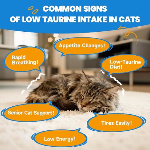 Taurine for Cats - Taurine Supplement for Cats Heart Health, Cardiac Function, Immune System Support - with L-Carnitine, CoQ10, Omega-3, L-Arginine - 60ML, Roast Chicken Flavor in Kuwait