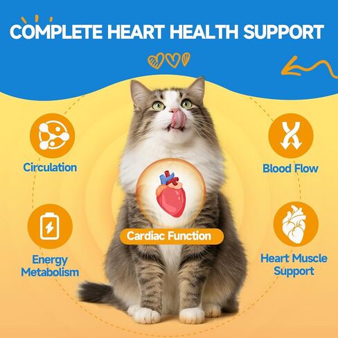 Taurine for Cats - Taurine Supplement for Cats Heart Health, Cardiac Function, Immune System Support - with L-Carnitine, CoQ10, Omega-3, L-Arginine - 60ML, Roast Chicken Flavor in Kuwait