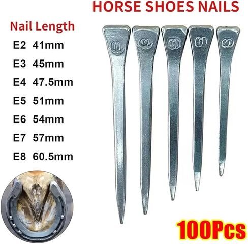 Horseshoe Nails 100 Pcs Steel E2-E8 Hoof Nails – Practical Horse Equipment for Shoe Repair, Harness Upkeep & Riding Essentials(100Pcs E8 60.5mm) in Saudi Arabia