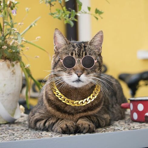 Molain Cat Sunglasses Gold Chain Costume Decorations- Cat UV Protection Classic Retro Puppy Retro Black Sunglasses Faux Gold Adjustable Chain Cosplay Costume Cool Funny Photo Props in Kuwait