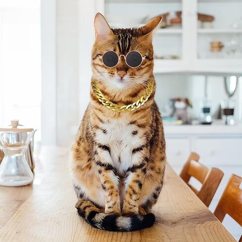 Molain Cat Sunglasses Gold Chain Costume Decorations- Cat UV Protection Classic Retro Puppy Retro Black Sunglasses Faux Gold Adjustable Chain Cosplay Costume Cool Funny Photo Props in Kuwait