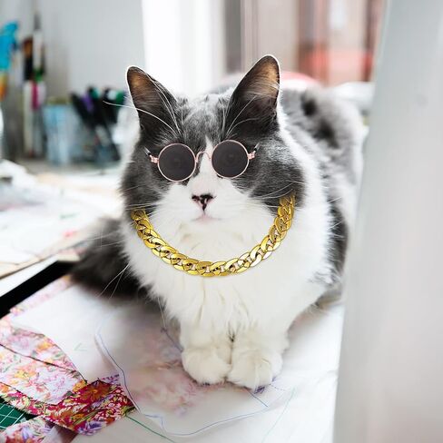 Molain Cat Sunglasses Gold Chain Costume Decorations- Cat UV Protection Classic Retro Puppy Retro Black Sunglasses Faux Gold Adjustable Chain Cosplay Costume Cool Funny Photo Props in Kuwait