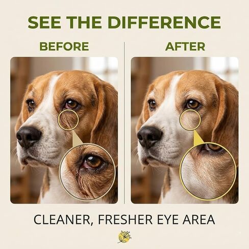 Dylan's cabin Dog Eye Cleaner Wash - Daily Tear Stain Care Eye Drops Clean Dirt Debris Tear Residue, pH-Balanced Formula with Glycerin, Honeysuckle Extract Lutein, 6 fl oz in Kuwait