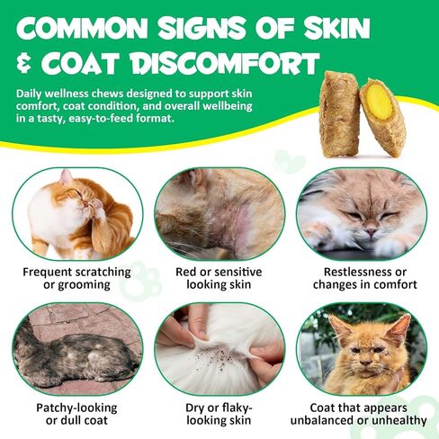 Specifically Formulated for Cats, Chewable Tablets for Cats & Kittens, Daily Support for Flea & Tick Defense, Immune Health & Gut Care, All Breeds & Ages, 30 Chewable Supplements in Kuwait