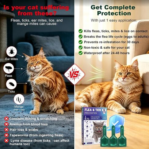 Topical Flea and Tick Product for Cats, 6 Doses, 0.8 mL Each, for Use Only as Directed on Product Label in Kuwait
