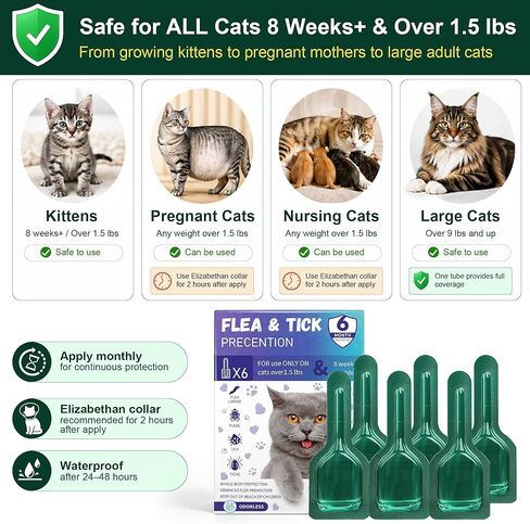 Topical Flea and Tick Product for Cats, 6 Doses, 0.8 mL Each, for Use Only as Directed on Product Label in Kuwait