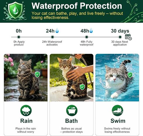 Topical Flea and Tick Product for Cats, 6 Doses, 0.8 mL Each, for Use Only as Directed on Product Label in Kuwait