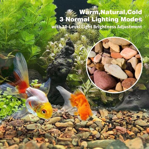 WDEFUN Aquarium Gravel River Rock, Natural Polished Mixed Colorful Stones, 10 LBS, for Plant Aquariums, Landscaping, Vase Filler in Kuwait