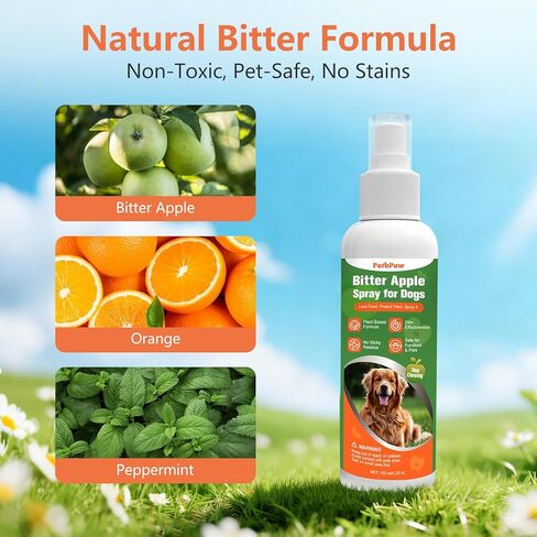 Bitter Apple Spray for Dogs, NO Chew Spray for Dogs to Protect the Furniture and Plant, Natrual Dog Deterrent Spray to Stop Dogs & Puppies from Chewing, Biting, Licking, Peeing, 150 ml/5.28oz in Kuwait