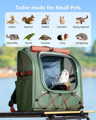 Pecute Small Pet Carrier, Breathable Bearded Dragon Carrier, with Transparent Bubble & Steel Frame, Safety Lock for Hamster, Rabbit, Guinea Pig, Kitten, Puppy, Ideal for Travel/Vet Visits/Camp, Green in Kuwait