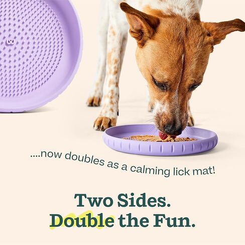 WOOF Fly n 'Feed - قرص طائر وحصيرة لعق للكلاب - مطاط متين صديق للأسنان - لعبة تفاعلية للكلاب للجلب وتوزيع الحلوى والإثراء - لافندر in Kuwait