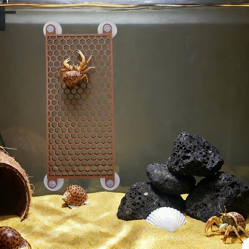 Hermit Crab Climbing Toy, Reptile Habitat Decor Exercise Playground Hermit Crab Accessories for Tank and Aquarium Decoration (Brown) in Kuwait