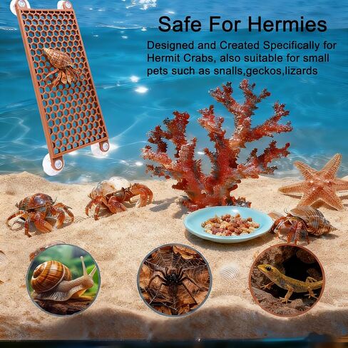 Hermit Crab Climbing Toy, Reptile Habitat Decor Exercise Playground Hermit Crab Accessories for Tank and Aquarium Decoration (Brown) in Kuwait