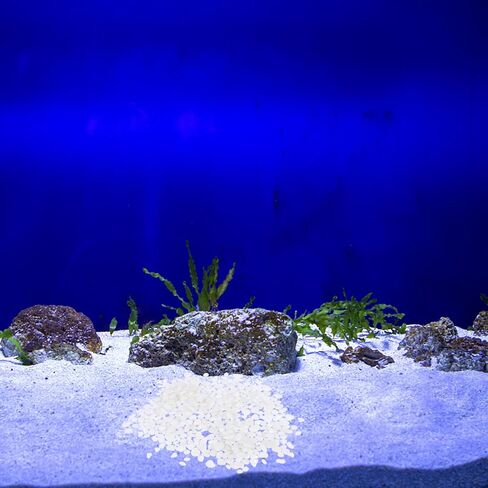 Ciieeo Aquarium Decorative Glass Pebbles 500g White Crystal Stones Fish Tank Stone Decor for Freshwater Tanks and Aquarium Landscaping in Kuwait