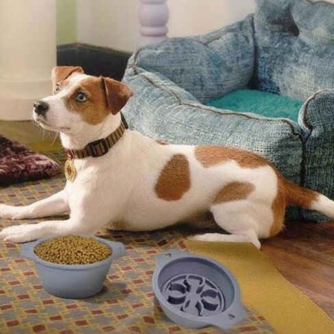 Dog Bowl Pet Collapsible Bowls for Cats Dogs, Portable Pet Feeding Watering Dish for Walking Parking(Blue,Small) in Kuwait