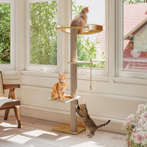 Yafylly Cat Window Perch with Scratching Post & Step, 47" Adjustable Window Perch for Large Cats, Cat Hammock for Window with Suction Cups, Multi-Level Cat Tree for Climbing, Sunbath, Bird Watching in Kuwait