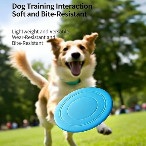 7 Inch Dog Flying Disc, Water Floating Flyer, Puppy Flyer Toy React Faster Training Interactive Toys for Small Medium Dog, Lightweight Durable and Water Resistant Floating Saucer, 5 Pack in Kuwait