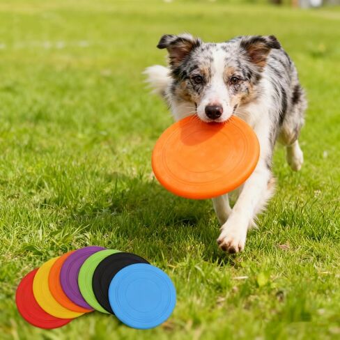 7 Inch Dog Flying Disc, Water Floating Flyer, Puppy Flyer Toy React Faster Training Interactive Toys for Small Medium Dog, Lightweight Durable and Water Resistant Floating Saucer, 5 Pack in Kuwait