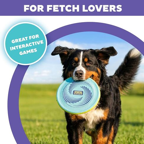 Outward Hound FlyFetch Disc Dog Toy, Aerodynamic for Fetch, Lightweight Foam & Durable Rubber, Floats in Water, All Breeds, 8.3" in Kuwait