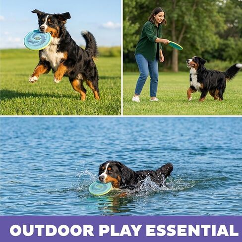 Outward Hound FlyFetch Disc Dog Toy, Aerodynamic for Fetch, Lightweight Foam & Durable Rubber, Floats in Water, All Breeds, 8.3" in Kuwait