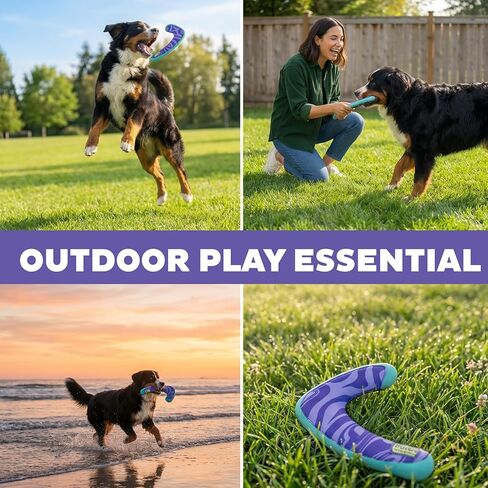 Outward Hound FlyFetch Boomerang Dog Toy, Lightweight Foam Core, Rubber Rim, Floats in Water, All Breeds, 11" in Kuwait