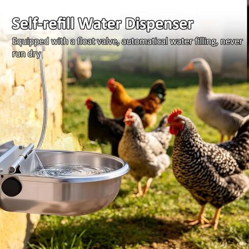 Automatic Water Dispenser for Dogs and Cats - Stainless Steel Dog Water Bowl Dispenser Outdoor Large Pets Waterer Feeder for Poultry and Livestock in Kuwait
