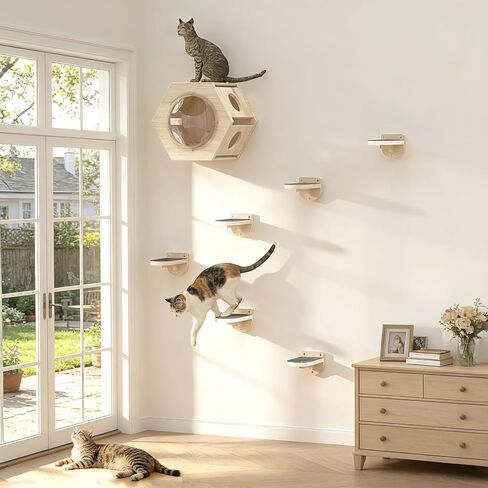 TIMHAKA 3 Pcs Cat Wall Shelves, Wooden Kitten Wall Climber for Indoor Cats, Cat Wall Step with Non-Slip Carpet for Climbing, Jumping & Playing in Kuwait