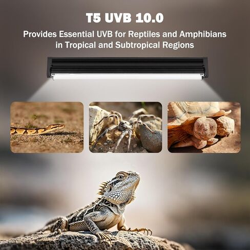 T5 10.0 UVB تركيبات إضاءة الزواحف، T5 UVA UVB مصباح أنبوبي للضوء Blub 24W 22 بوصة للتنين الملتحي، السلحفاة، السحالي الصحراوية، الفهد أبو بريص، الزواحف والبرمائيات in Kuwait