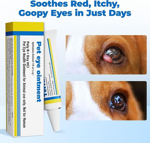 Pet Eye Health for Dogs, Cats, Cattle, Sheep, Horses, Birds and Puppies, Kitten - 3 Tubes, 3.5g Each in Kuwait