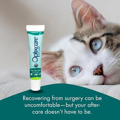 Optixcare Eye Lube 20g Lubricating Gel for Dry, Itchy & Irritated Eyes – Long‑Lasting Moisture Support After Eye Procedures in Kuwait